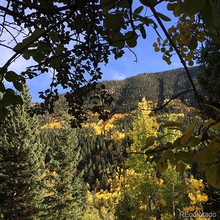 MLS Image #31 for 270  main street,silver plume, Colorado