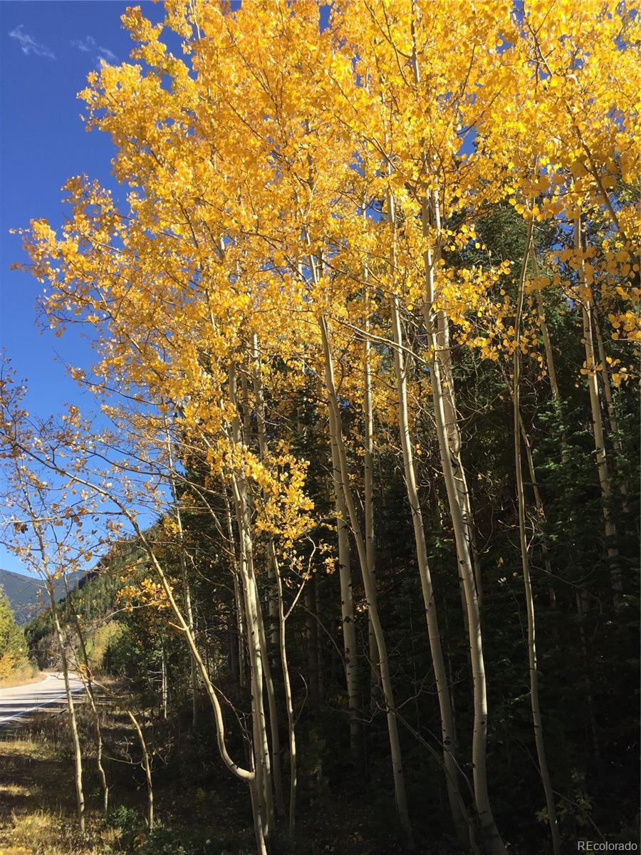 MLS Image #35 for 270  main street,silver plume, Colorado