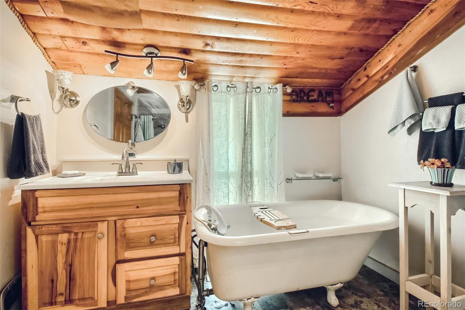 MLS Image #6 for 270  main street,silver plume, Colorado