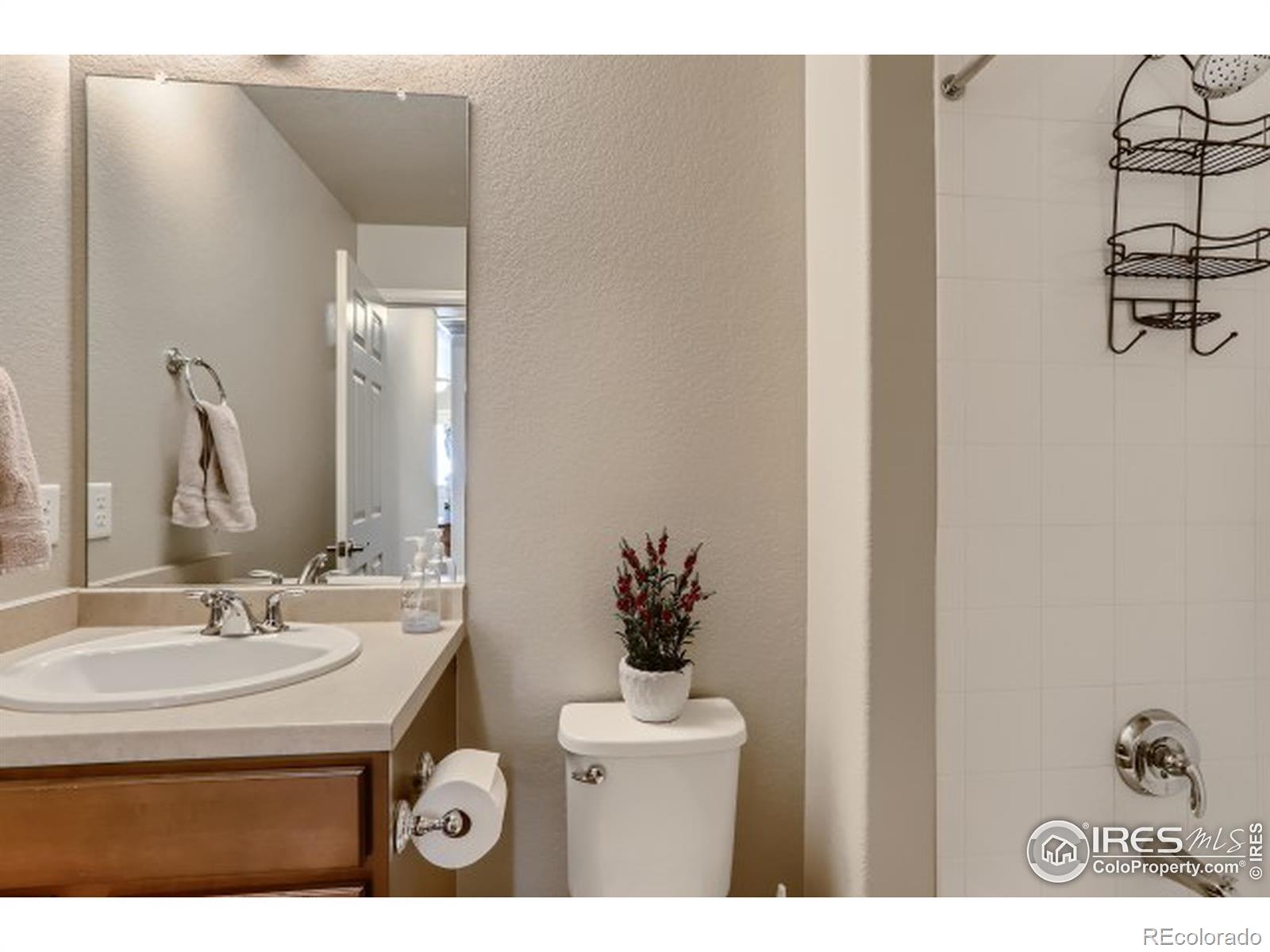 MLS Image #21 for 1125  hummingbird circle,longmont, Colorado
