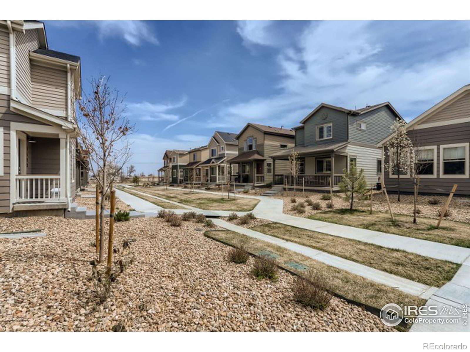 MLS Image #26 for 1125  hummingbird circle,longmont, Colorado