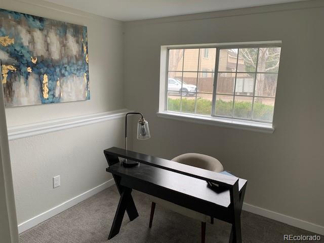 MLS Image #10 for 1226  iris court,littleton, Colorado