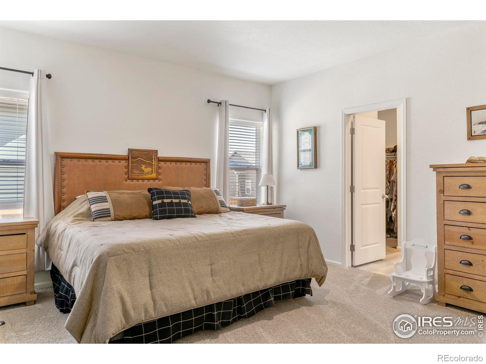 MLS Image #14 for 1061  long meadows street,severance, Colorado