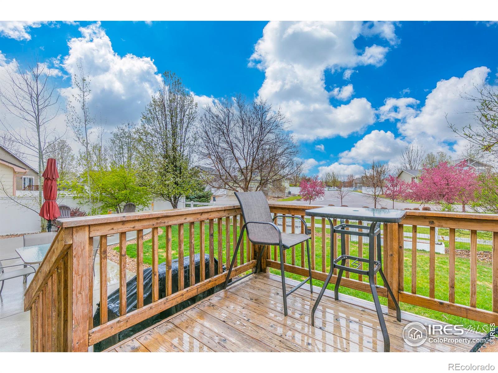 MLS Image #25 for 2039  sandhill crane circle,loveland, Colorado