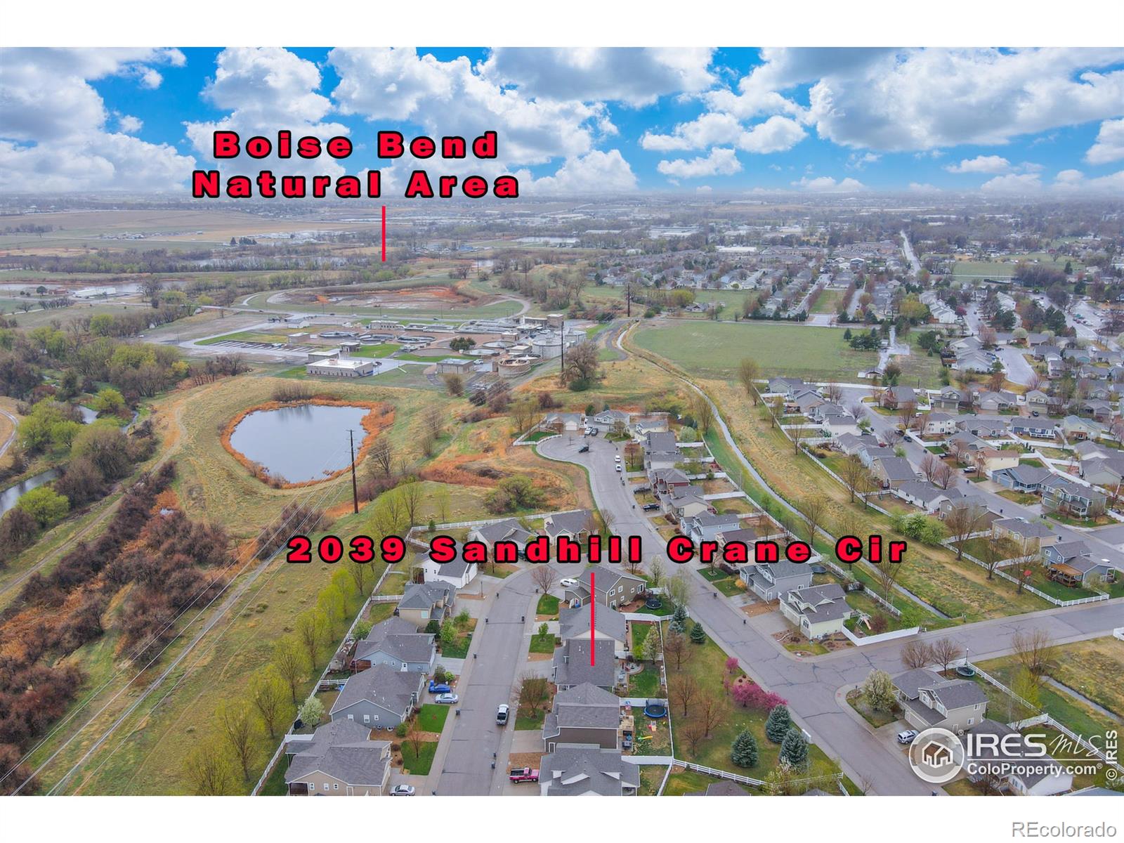 MLS Image #33 for 2039  sandhill crane circle,loveland, Colorado