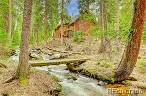 MLS Image #0 for 3237  mill creek road,dumont, Colorado