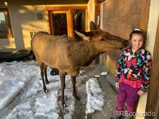MLS Image #33 for 8552  flagstaff road,boulder, Colorado