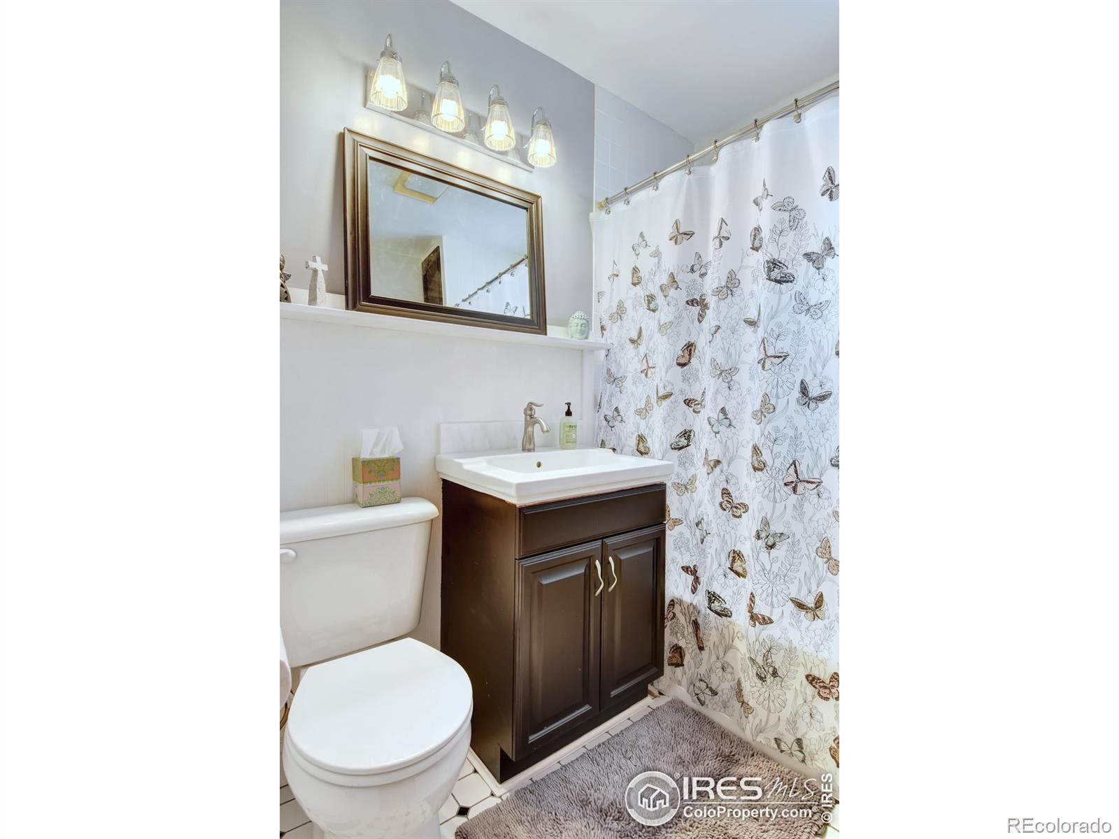 MLS Image #16 for 222  francis street,longmont, Colorado