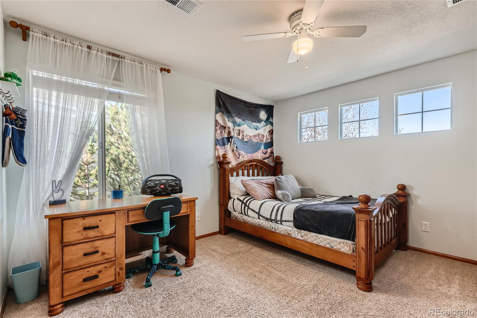 MLS Image #17 for 7414  halite court,castle rock, Colorado
