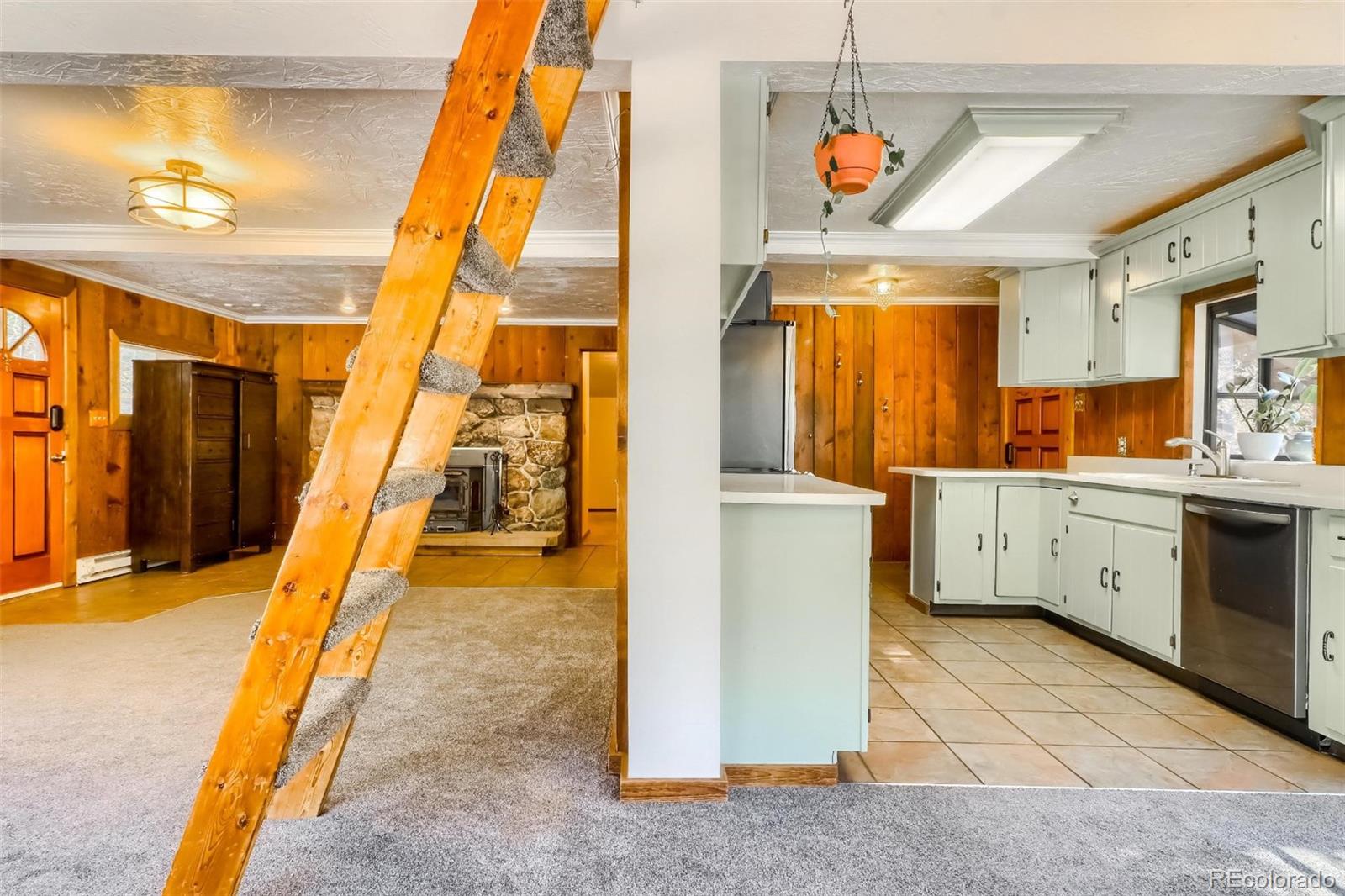 MLS Image #12 for 20304 n turkey creek road,morrison, Colorado