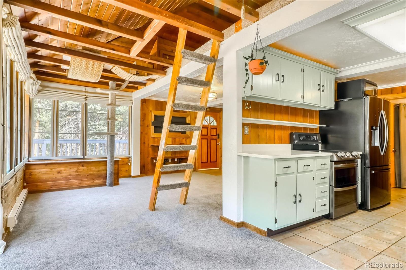 MLS Image #13 for 20304 n turkey creek road,morrison, Colorado