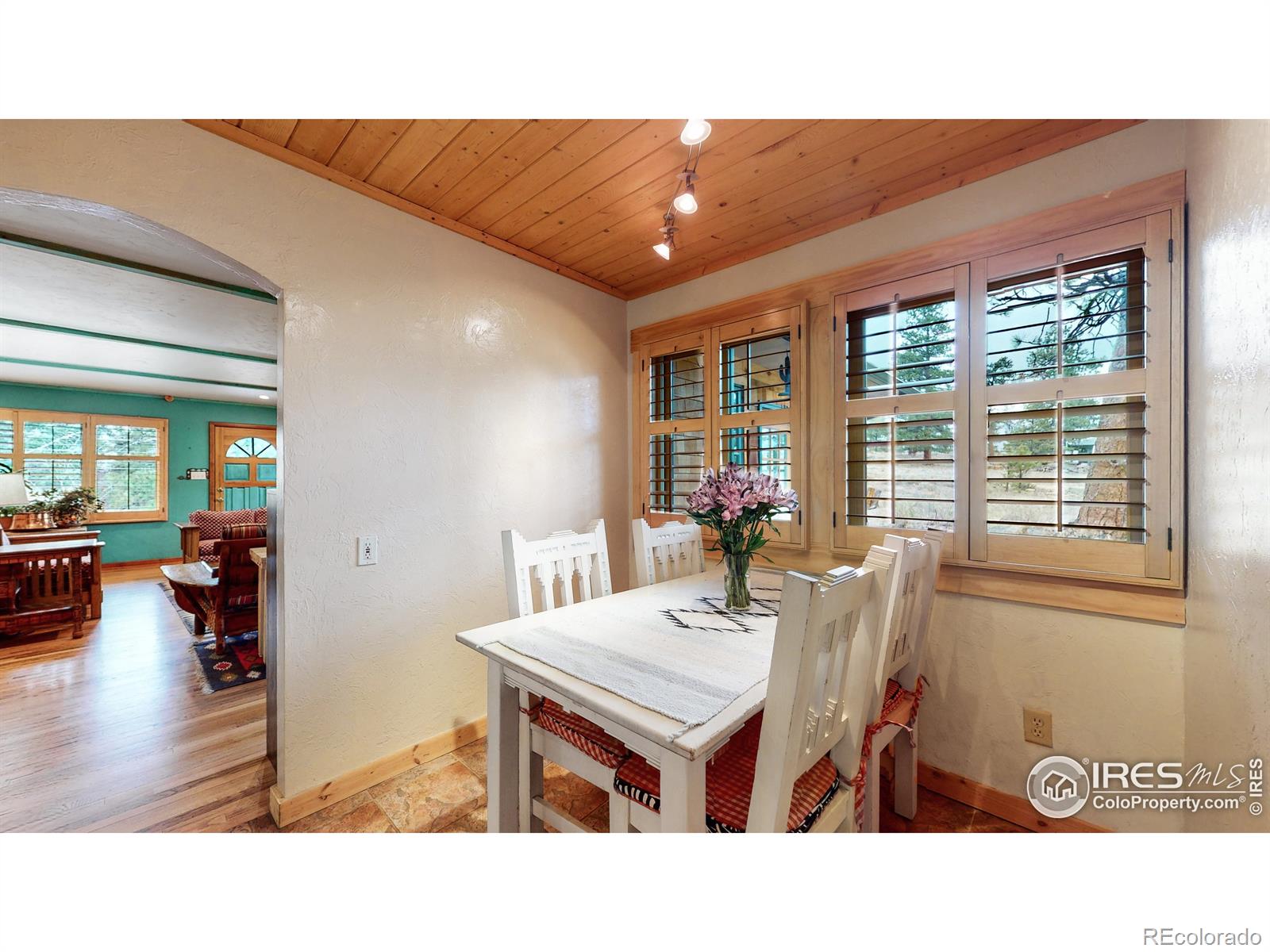 MLS Image #12 for 530  hondius circle,estes park, Colorado