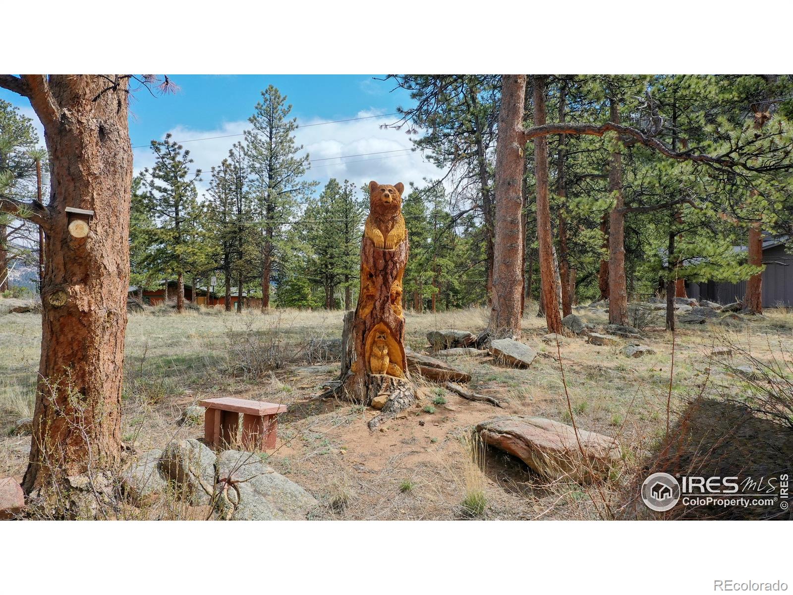 MLS Image #2 for 530  hondius circle,estes park, Colorado