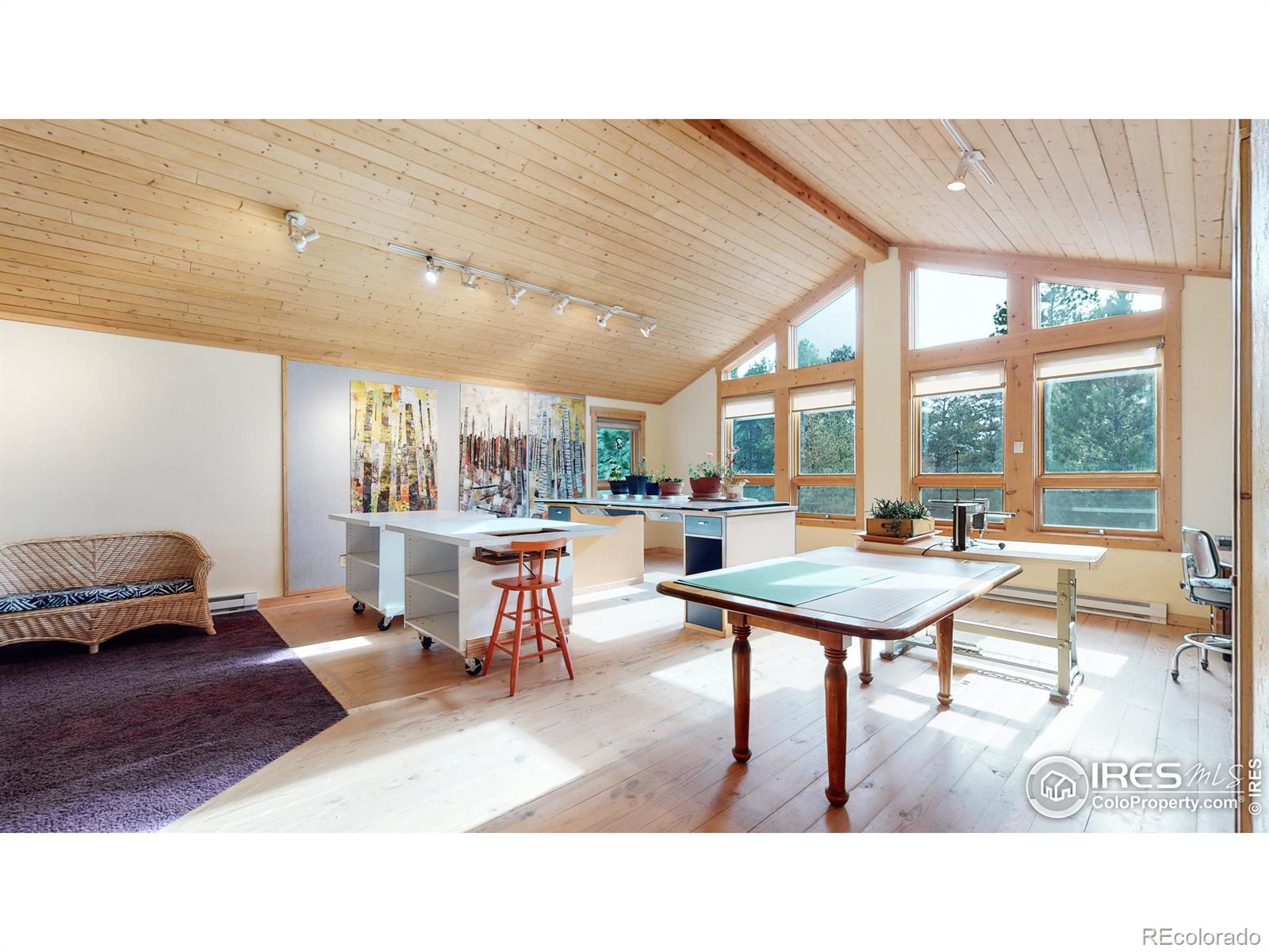 MLS Image #27 for 530  hondius circle,estes park, Colorado
