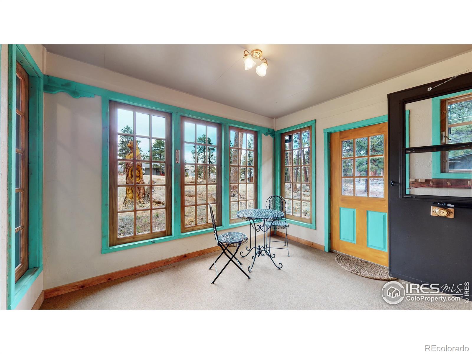 MLS Image #4 for 530  hondius circle,estes park, Colorado