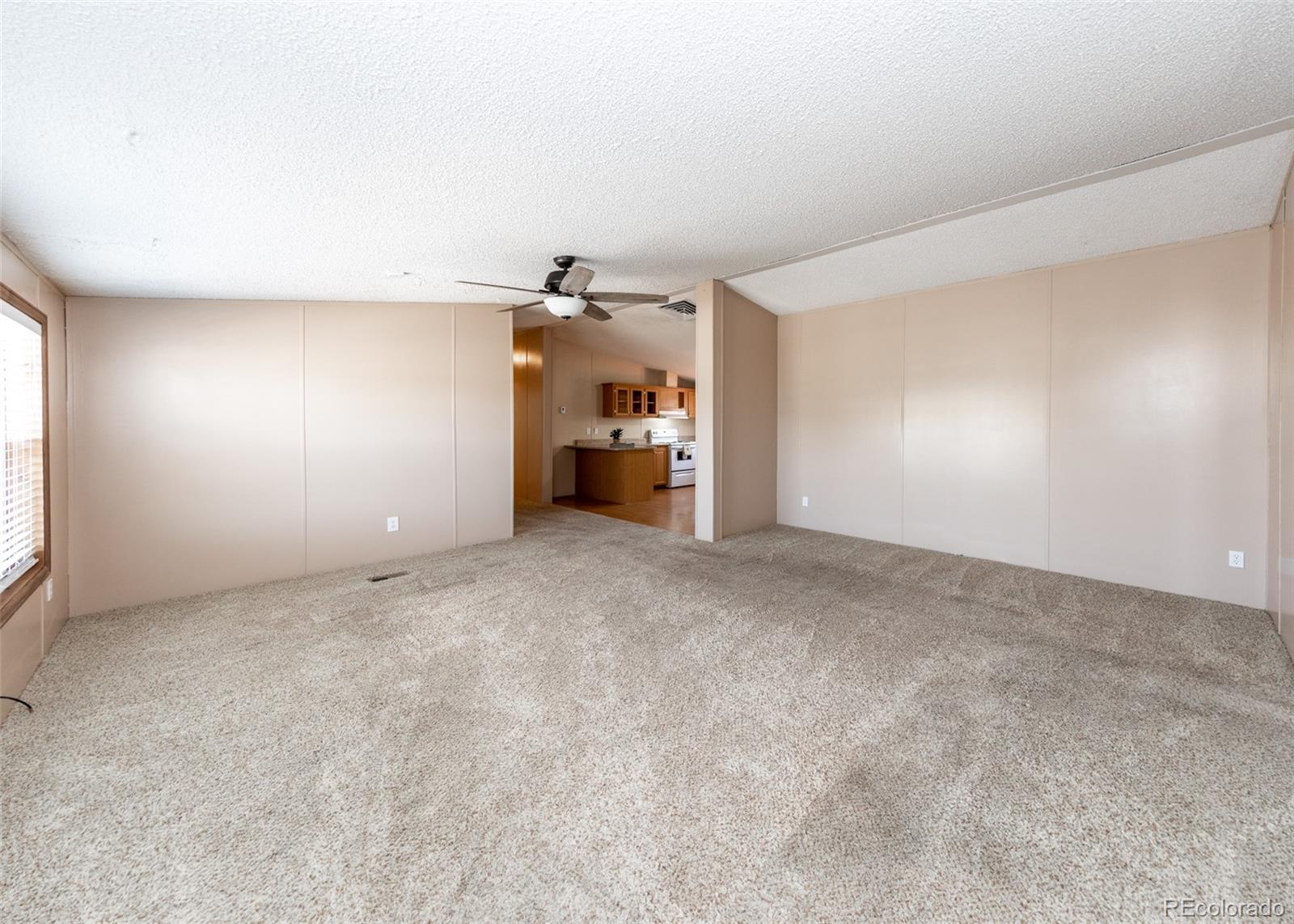 MLS Image #3 for 210 s frazier avenue,florence, Colorado