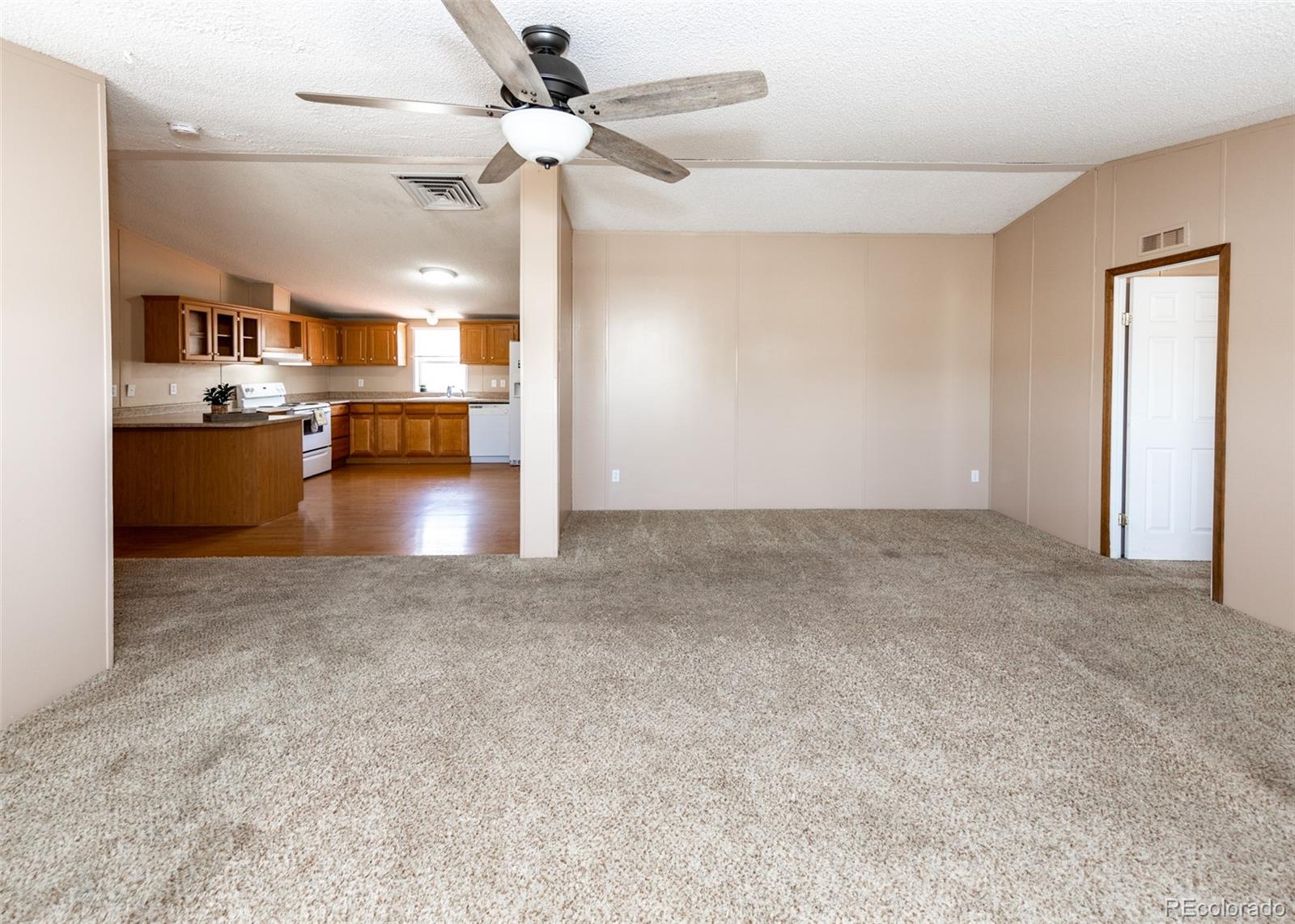 MLS Image #4 for 210 s frazier avenue,florence, Colorado