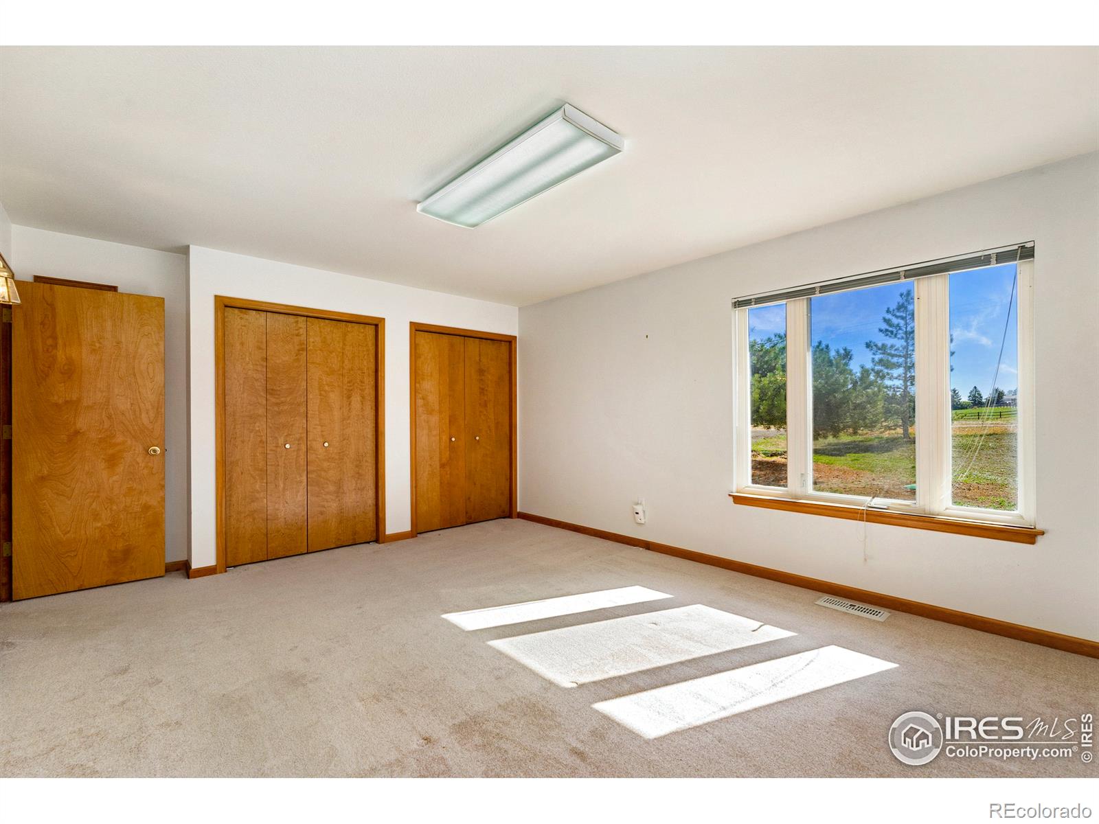 MLS Image #19 for 938  roadrunner court,loveland, Colorado