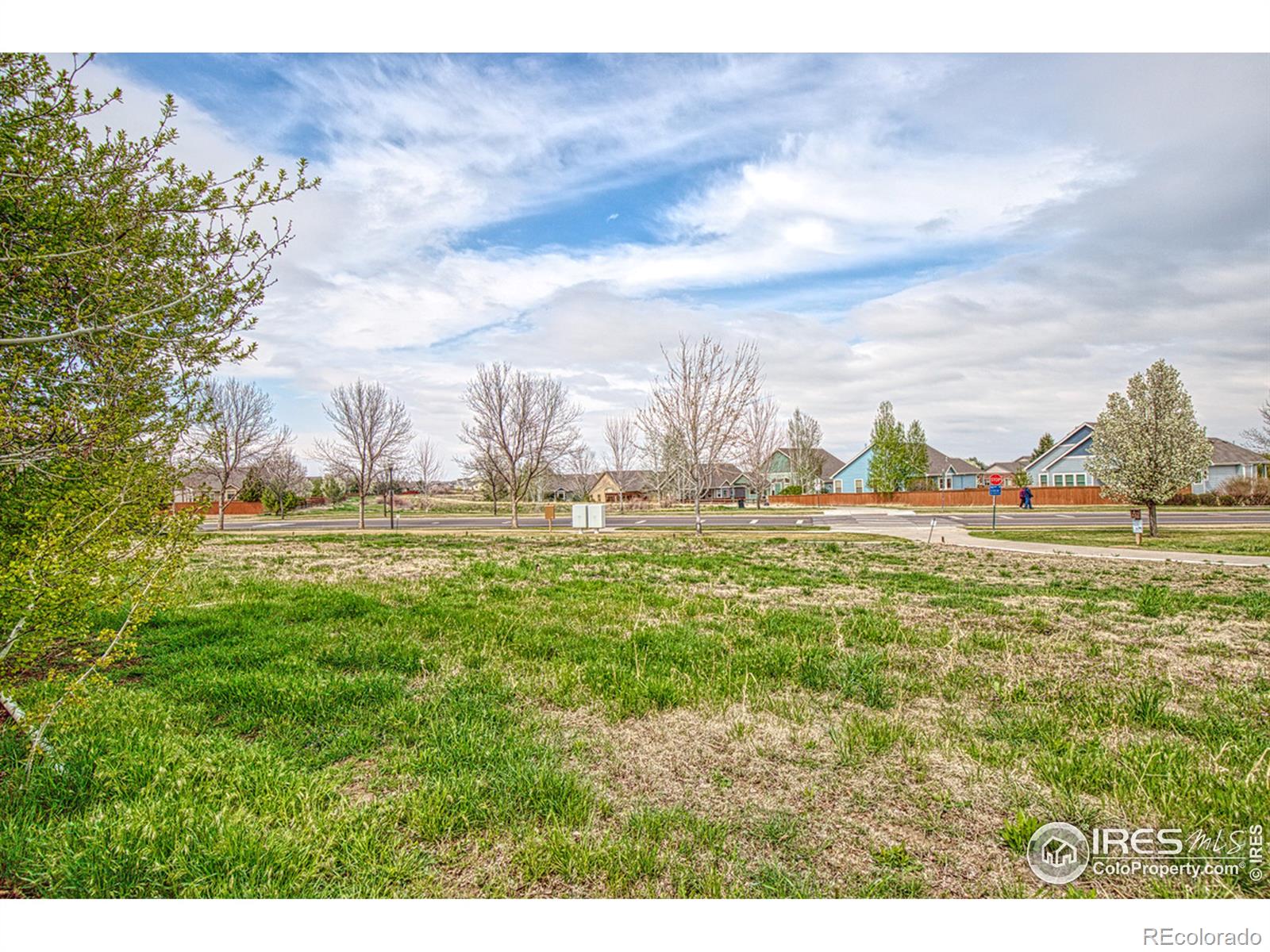 MLS Image #31 for 4480  fruita drive,loveland, Colorado