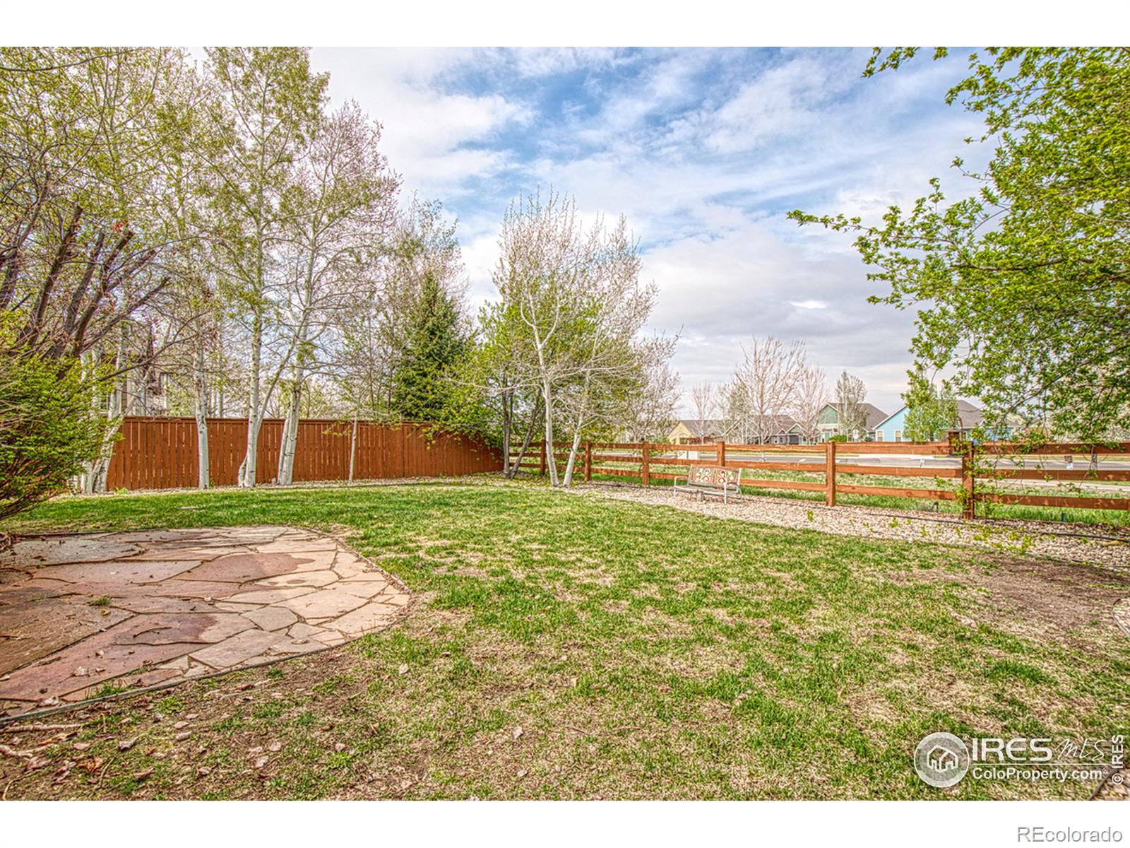 MLS Image #32 for 4480  fruita drive,loveland, Colorado