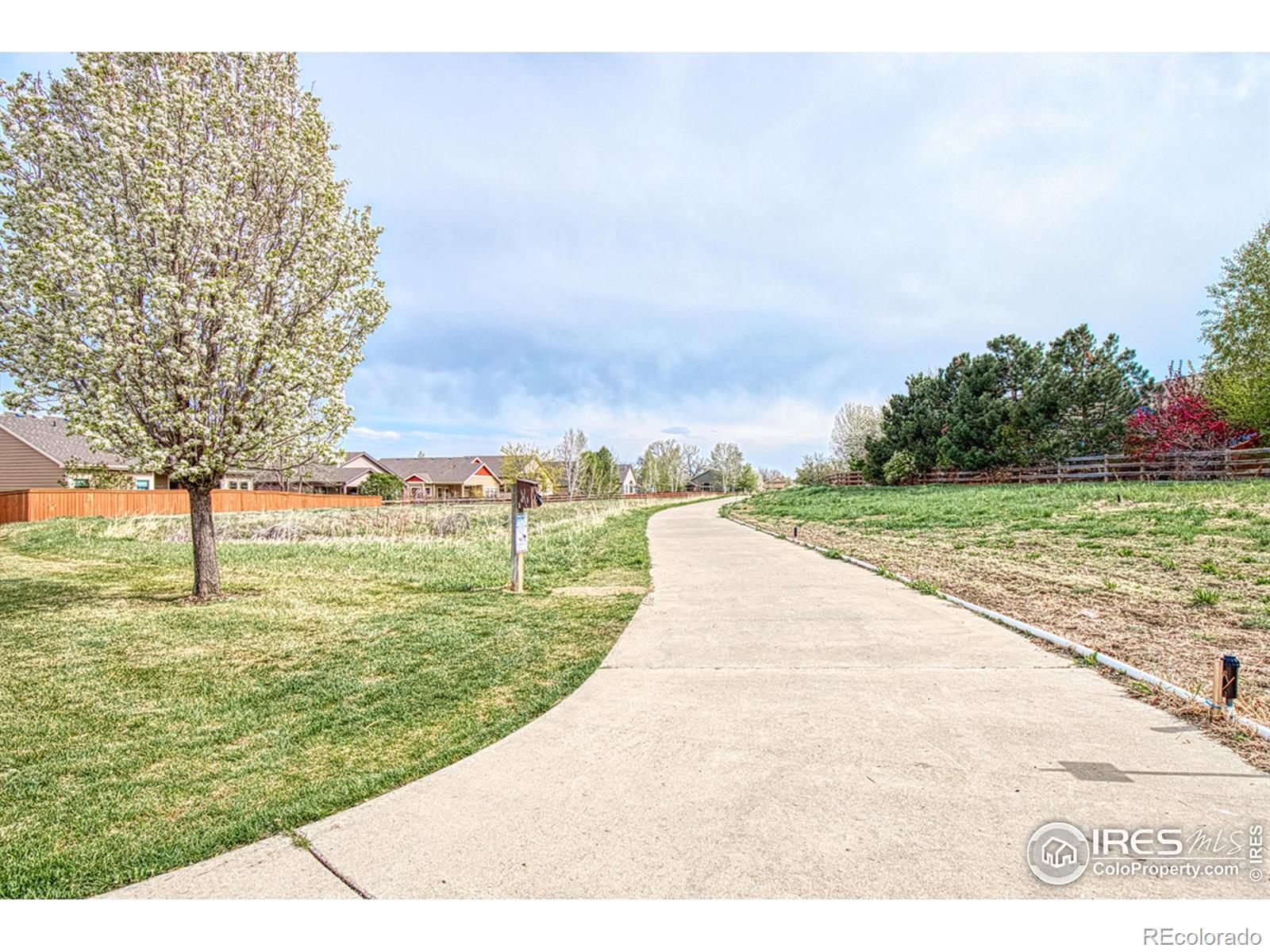 MLS Image #33 for 4480  fruita drive,loveland, Colorado