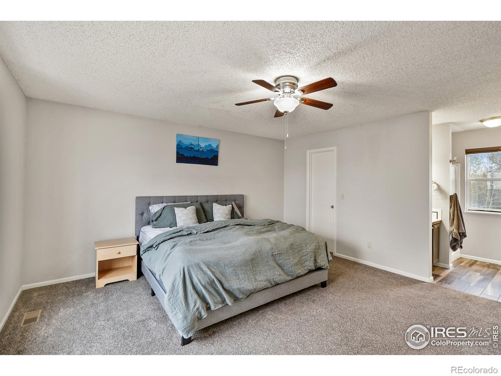 MLS Image #18 for 1737  cattail drive,loveland, Colorado