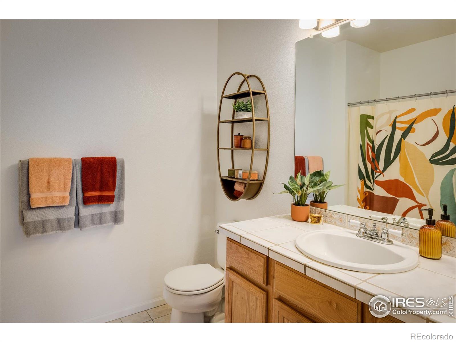 MLS Image #19 for 640  gooseberry drive,longmont, Colorado