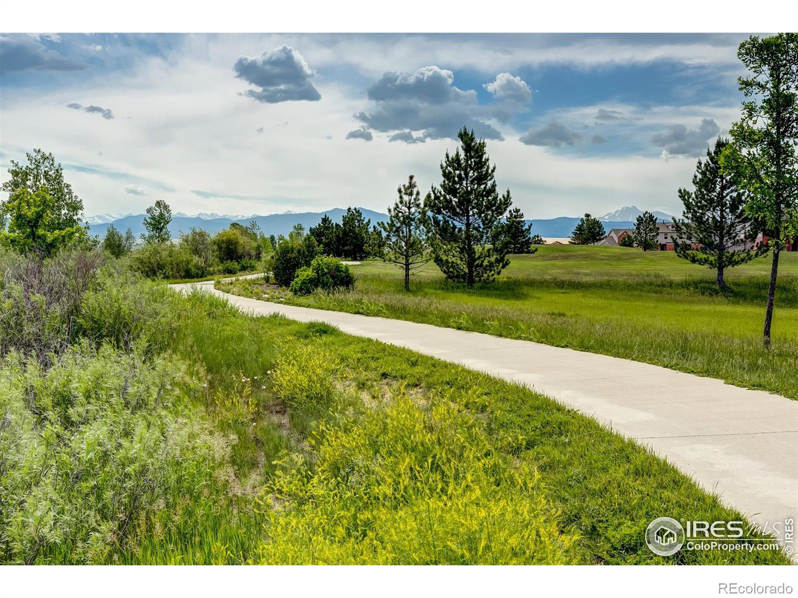 MLS Image #30 for 640  gooseberry drive,longmont, Colorado