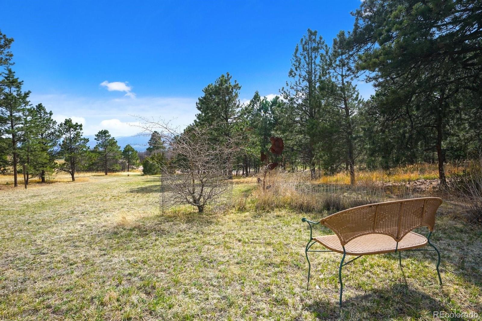 MLS Image #35 for 15955  kingswood drive,colorado springs, Colorado