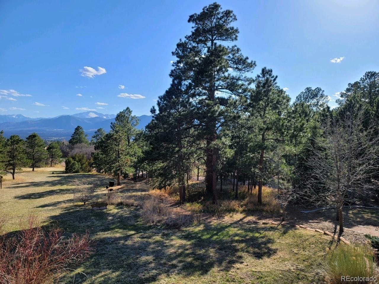 MLS Image #4 for 15955  kingswood drive,colorado springs, Colorado