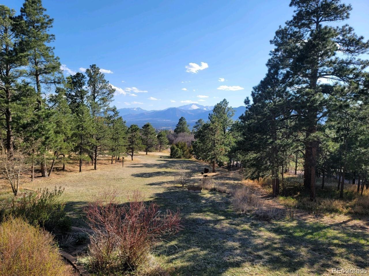 MLS Image #5 for 15955  kingswood drive,colorado springs, Colorado