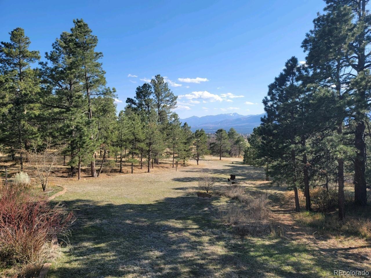 MLS Image #7 for 15955  kingswood drive,colorado springs, Colorado