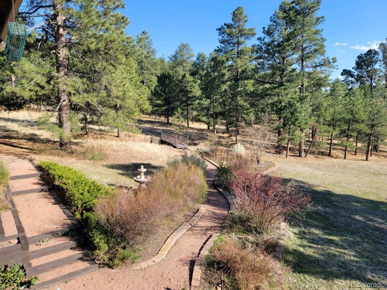 MLS Image #9 for 15955  kingswood drive,colorado springs, Colorado