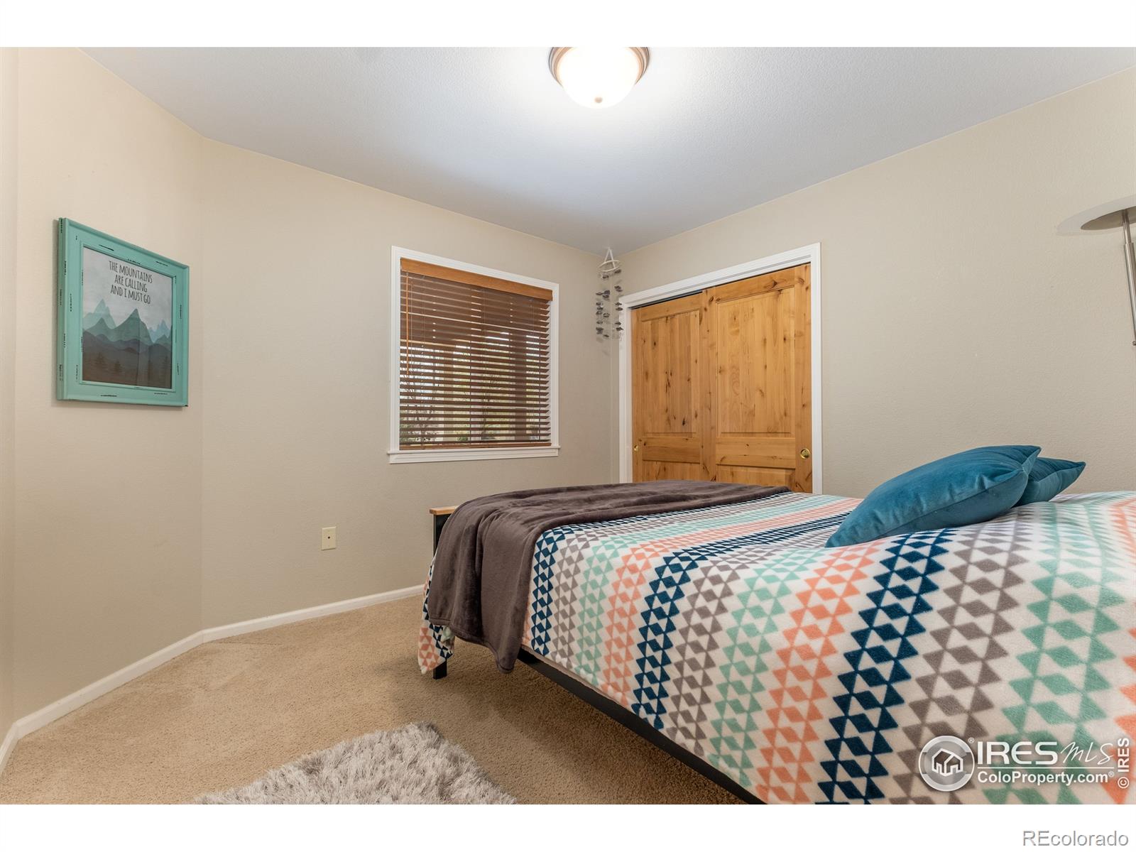 MLS Image #16 for 1925  lily drive,loveland, Colorado
