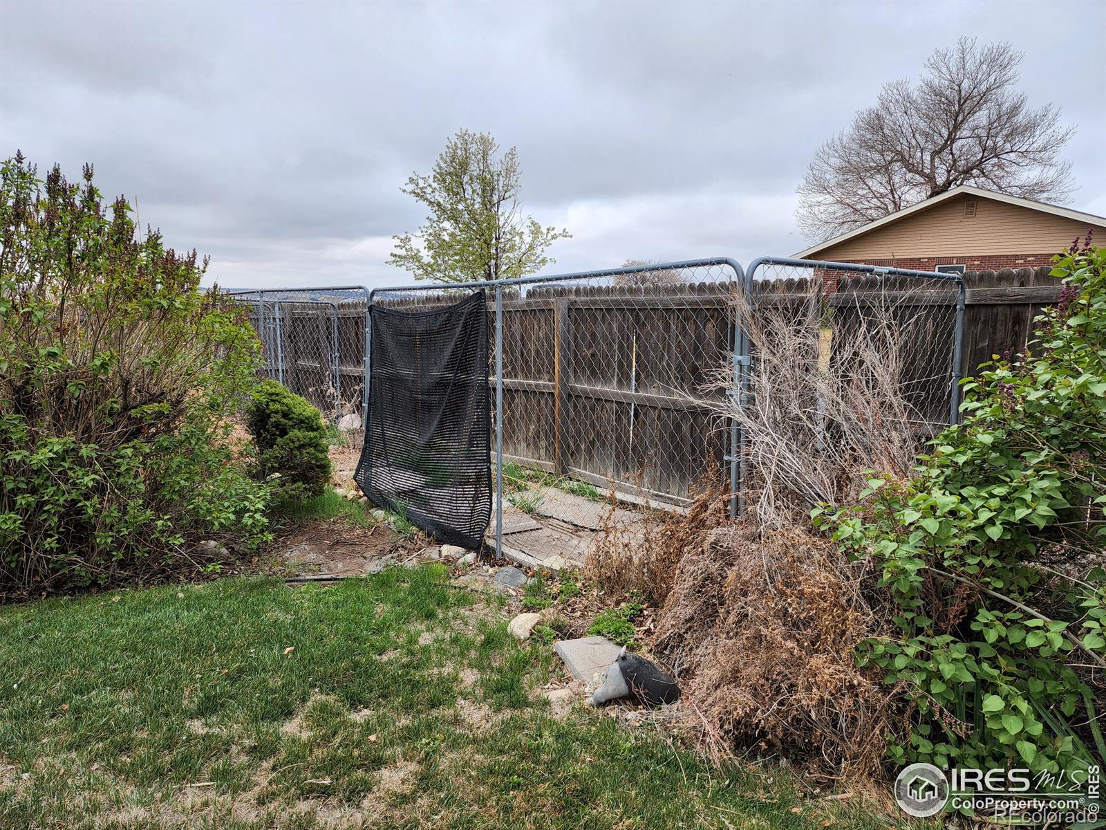 MLS Image #26 for 2026  brown court,johnstown, Colorado