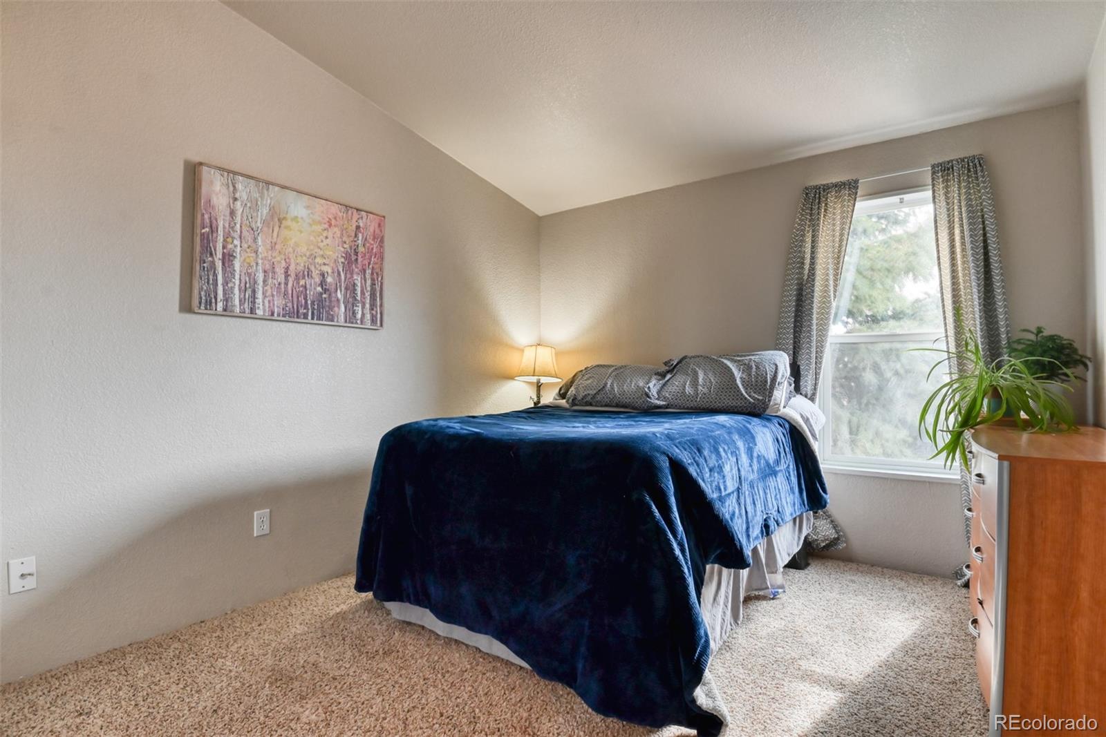 MLS Image #23 for 880  quail drive,colorado springs, Colorado