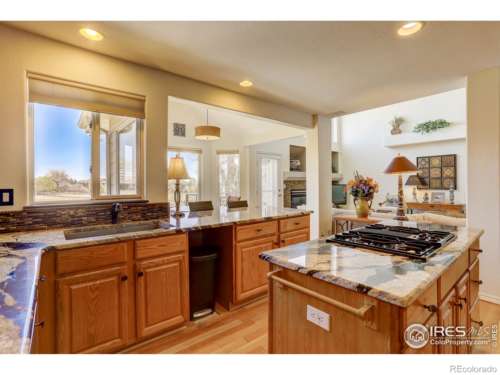 MLS Image #10 for 561  flying jib court,lafayette, Colorado
