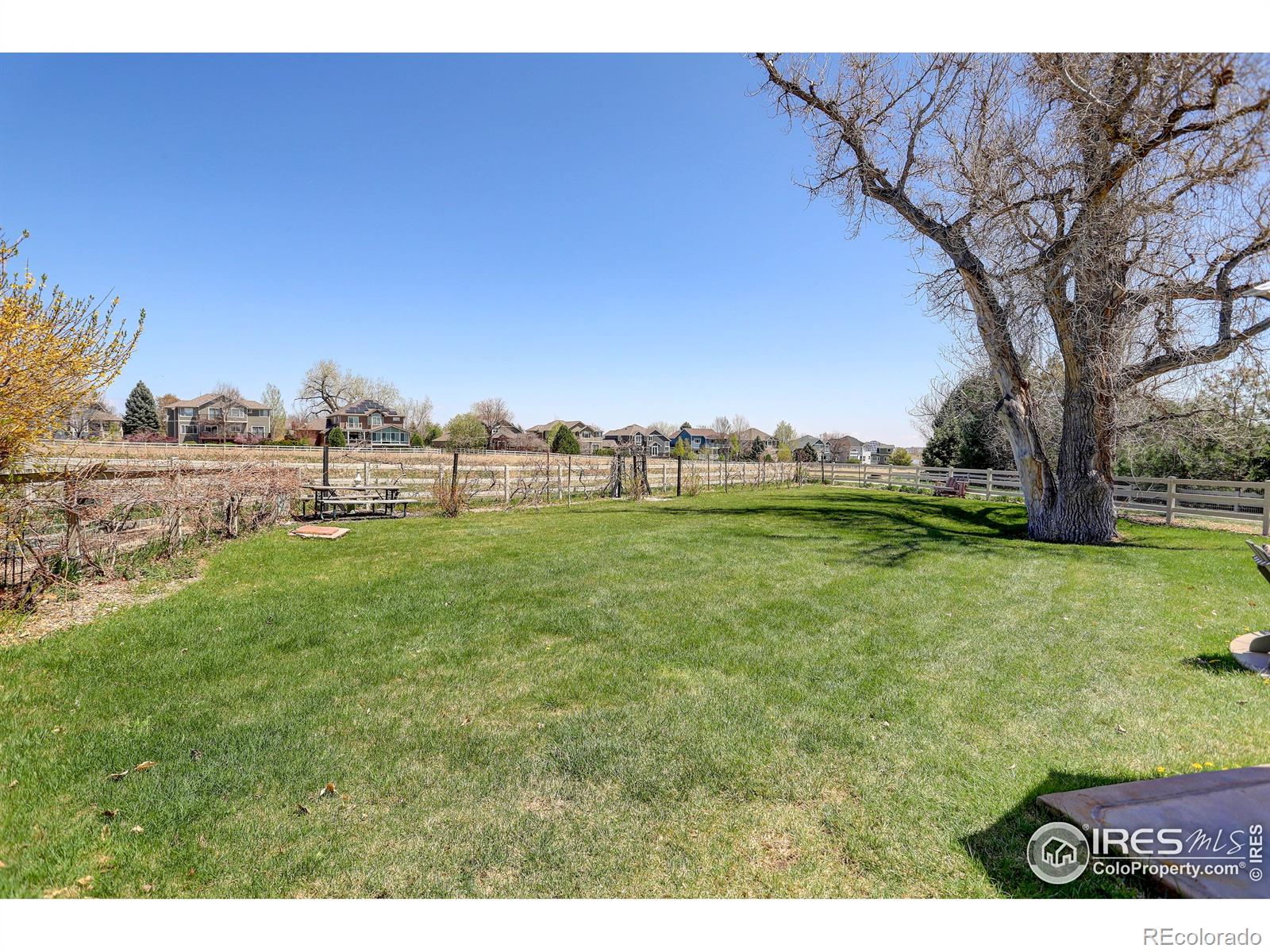 MLS Image #37 for 561  flying jib court,lafayette, Colorado