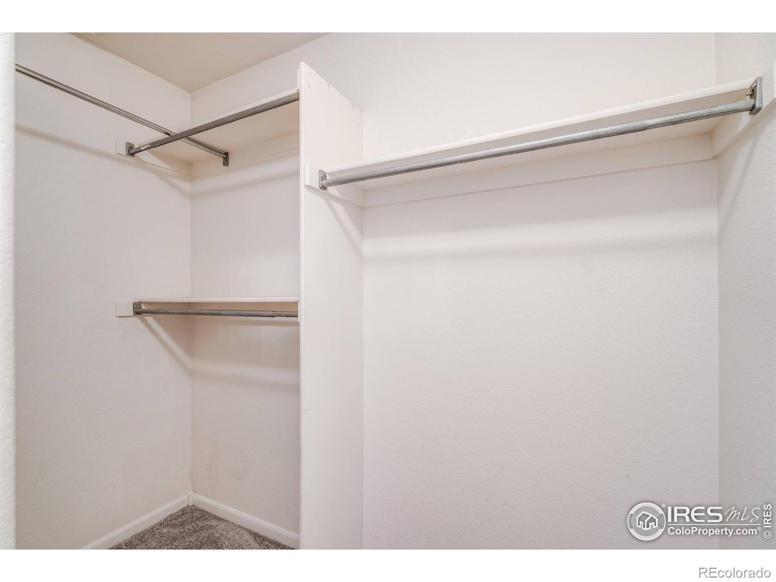 MLS Image #17 for 1603  stove prairie circle,loveland, Colorado