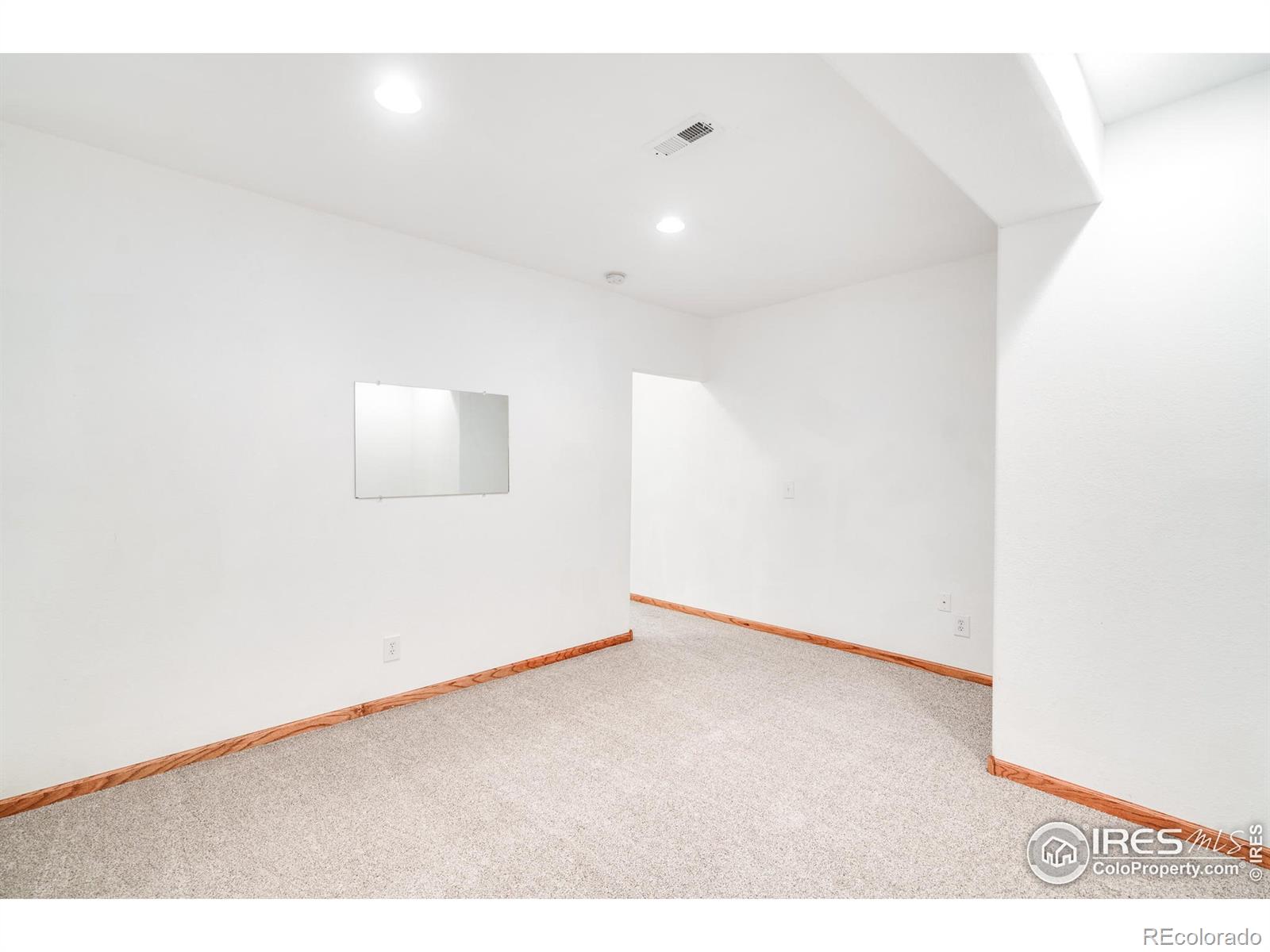 MLS Image #28 for 1603  stove prairie circle,loveland, Colorado