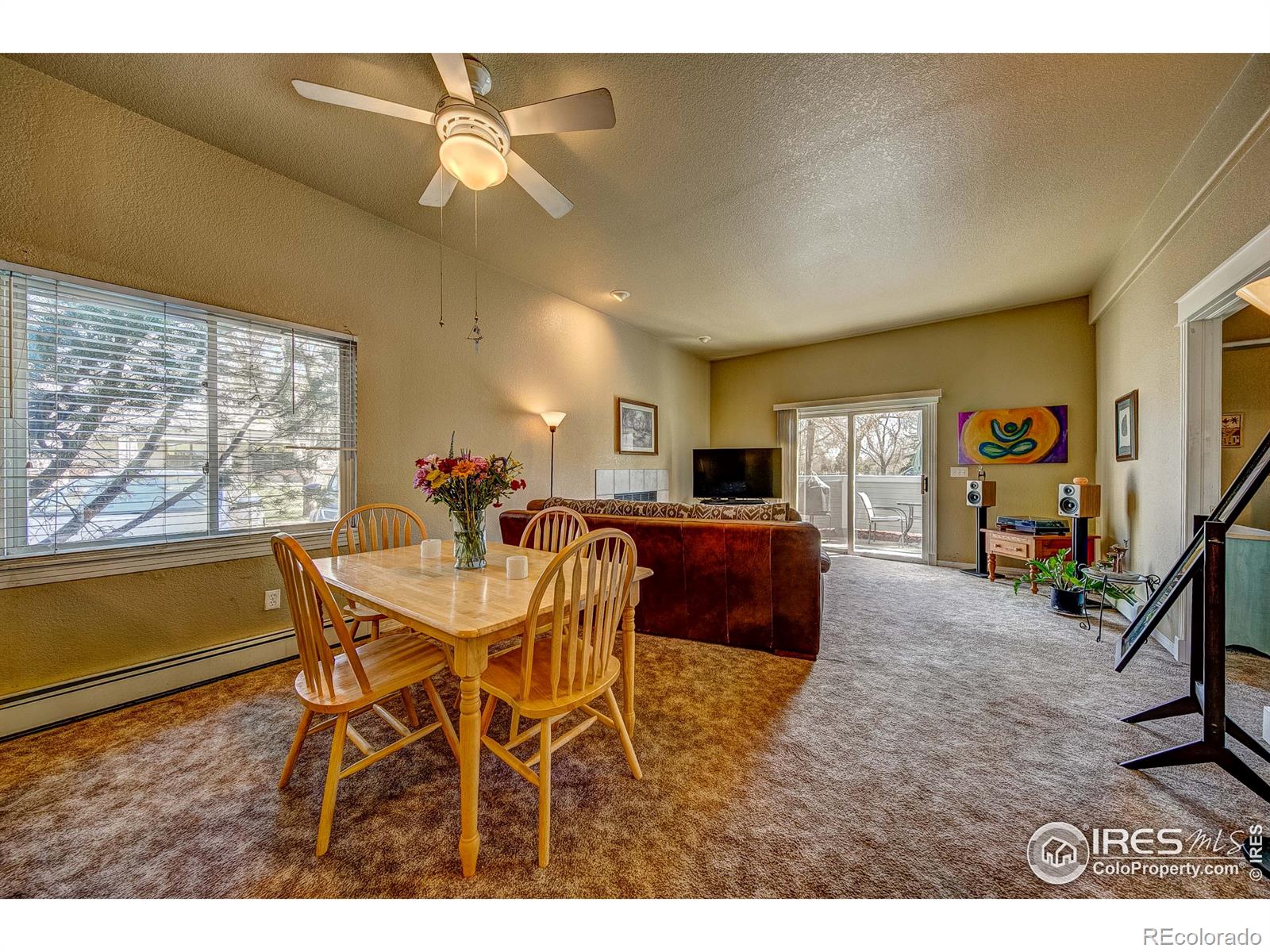 MLS Image #14 for 2007  mathews street,fort collins, Colorado