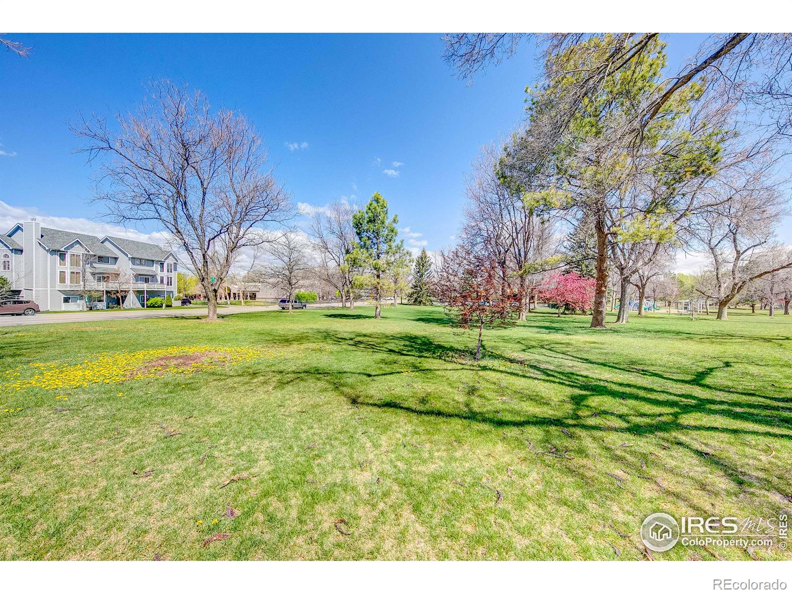 MLS Image #27 for 2007  mathews street,fort collins, Colorado