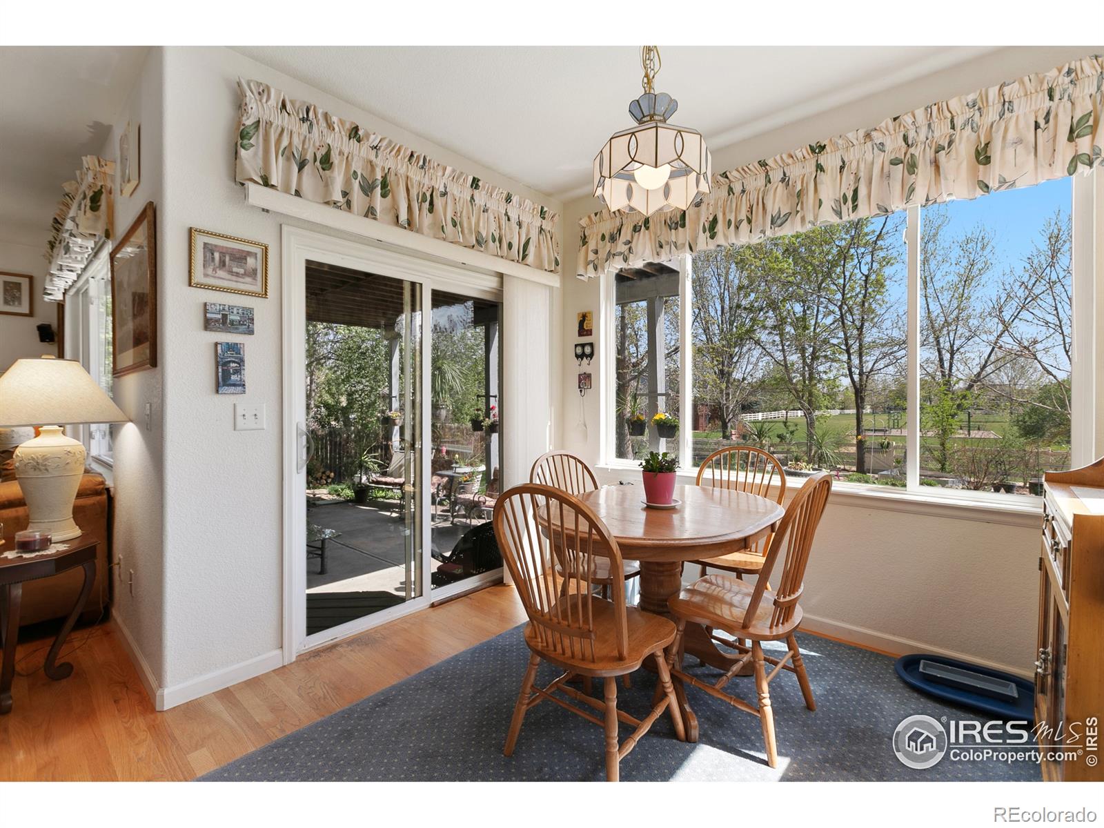MLS Image #12 for 732  teal circle,longmont, Colorado