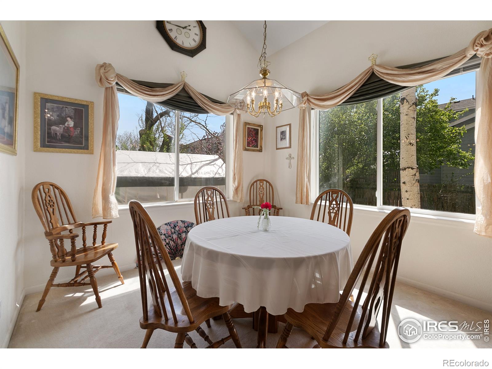 MLS Image #14 for 732  teal circle,longmont, Colorado