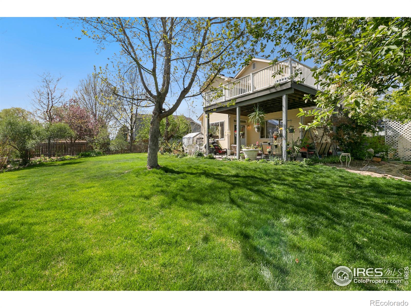 MLS Image #30 for 732  teal circle,longmont, Colorado