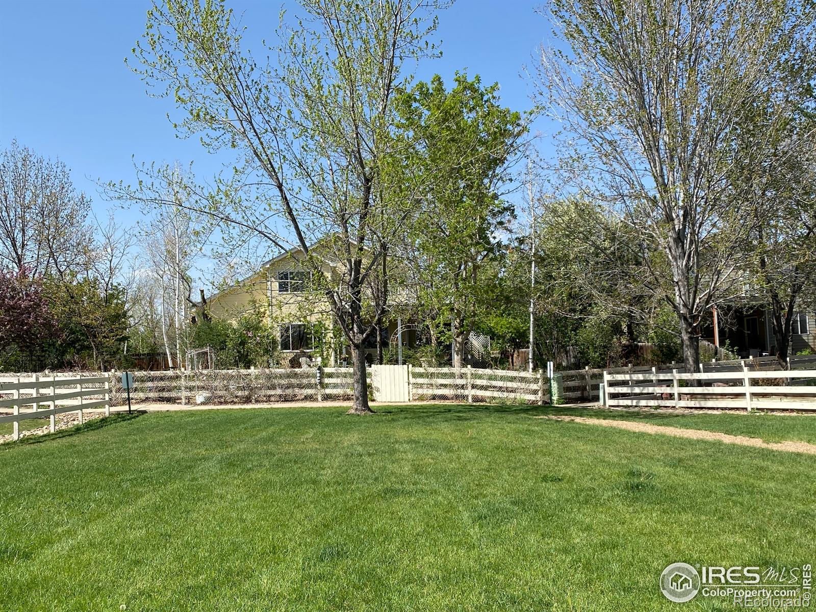MLS Image #32 for 732  teal circle,longmont, Colorado
