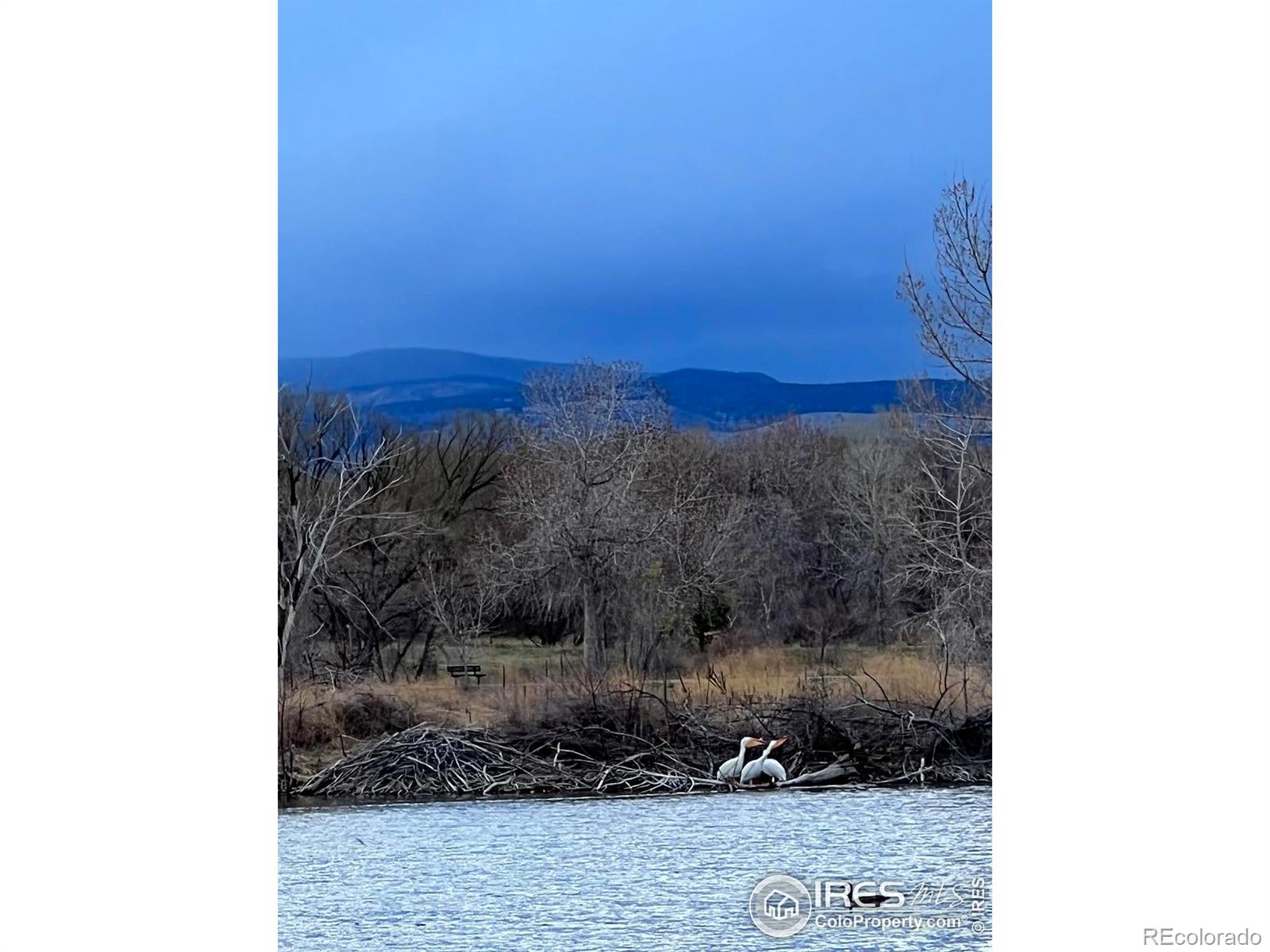 MLS Image #37 for 732  teal circle,longmont, Colorado