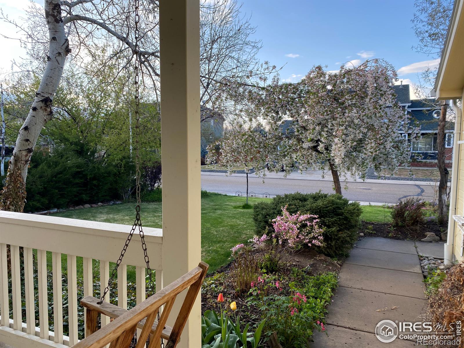 MLS Image #5 for 732  teal circle,longmont, Colorado