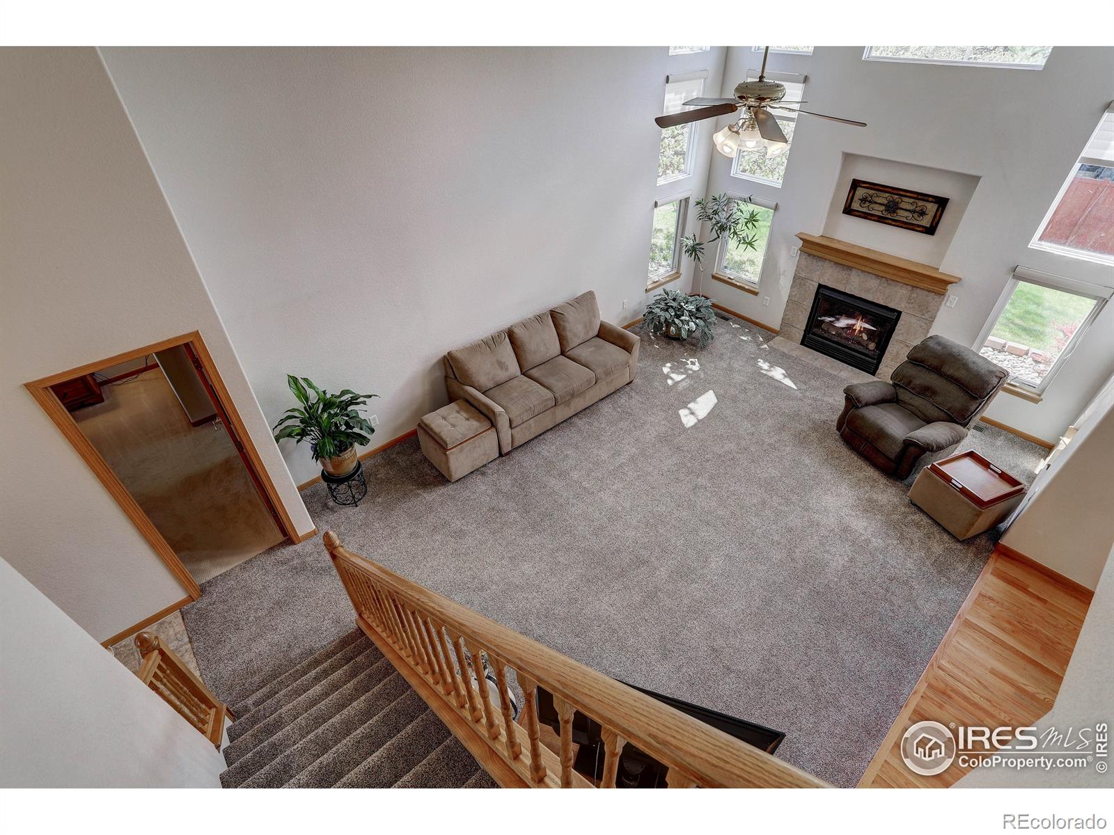 MLS Image #10 for 914  wisteria drive,loveland, Colorado