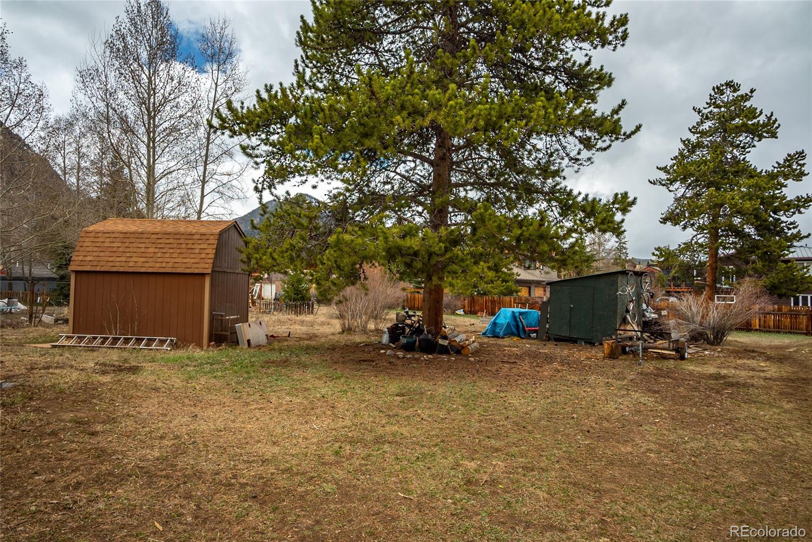 MLS Image #25 for 617  belford street,frisco, Colorado